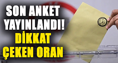 Son anket yayınlandı! Dikkat çeken oran