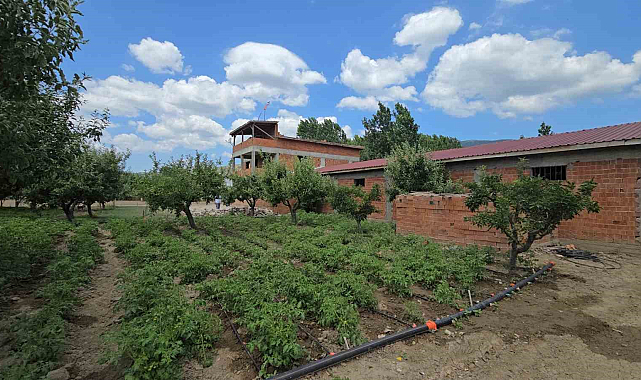 Tokat'ta alacak verecek meselesi kanlı bitti