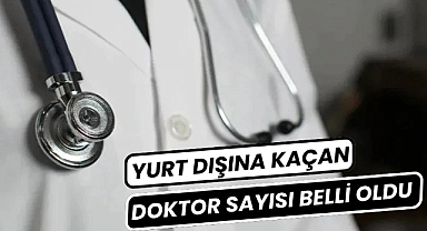 Türkiye'den yurt dışına kaçan doktor sayısı belli oldu