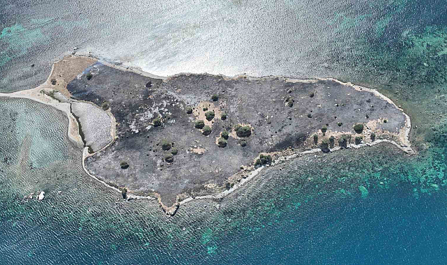 Türkiye'de bir ada yanarak küle döndü