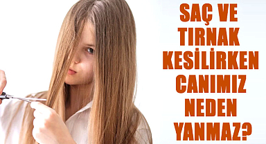 Vücudumuzun gizemli bölümleri: Saç ve tırnak kesilirken neden acı hissi yok?