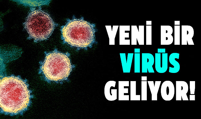 Yeni virüs yayılıyor!