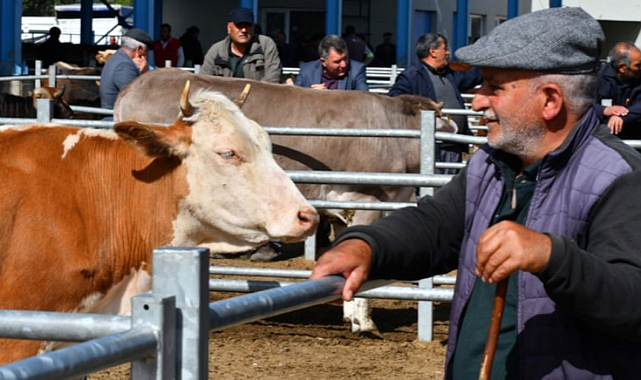 Yoksul kurban kesemez, zengin tatile çıkıyor