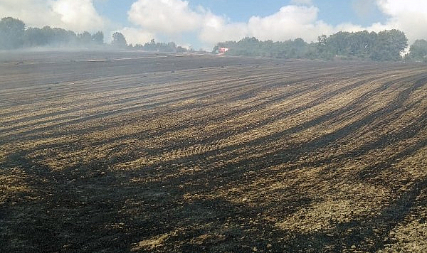 Anız yangını Bafra’yı sardı! Yaklaşık 100 dönüm zarar