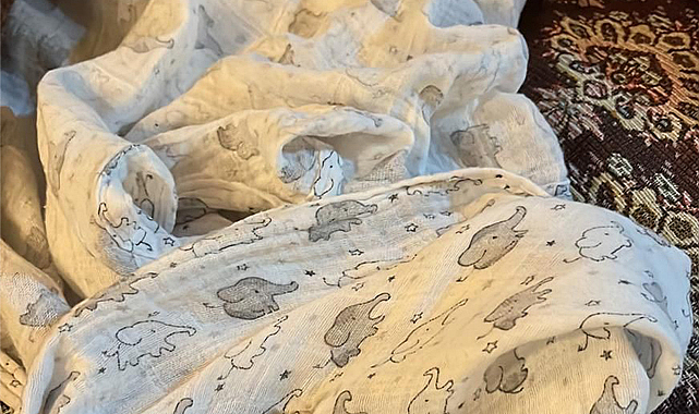 Ankara'da bir çift uyuyan bebeklerinin yatağına bakınca dehşete düştü