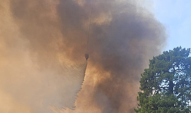 Antalya'nın  Serik ilçesinde ormanlık alanda yangın