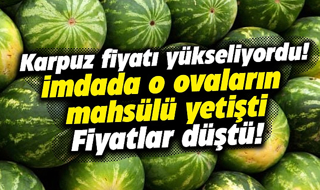 Bafra ve Çarşamba Ovaları devreye girdi! Karpuz fiyatları düştü