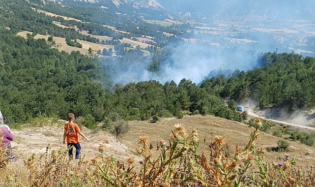 Bilecik'te son 2 günde 3'üncü orman yangını