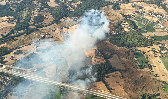 Çanakkale'nin Ayvacık ilçesinde çıkan orman yangını rüzgarın etkisiyle büyüdü