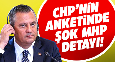CHP anketinde MHP detayı