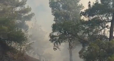 Çorum'da orman yangınında sarp kayalıklarda yangına güçlükle müdahale ediliyor