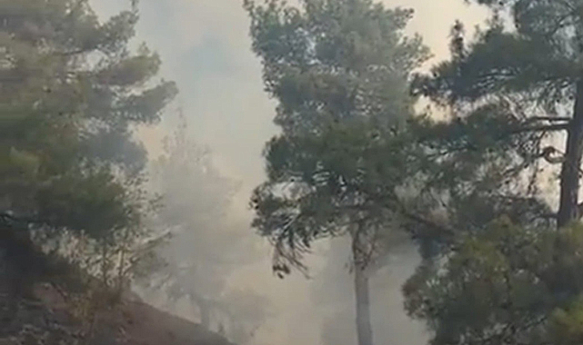 Çorum'da orman yangınında sarp kayalıklarda yangına güçlükle müdahale ediliyor