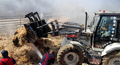 Edirne'nin Keşan İlçesi'nden 35 büyükbaş hayvan yangında can verdi