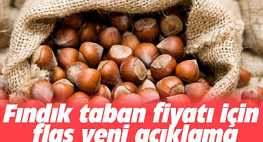 Fındık taban fiyatı için yeni açıklama
