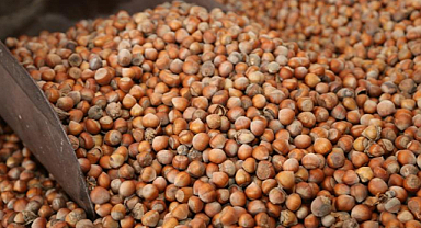 Fındıktan 1,9 milyar doları aşkın kazanç