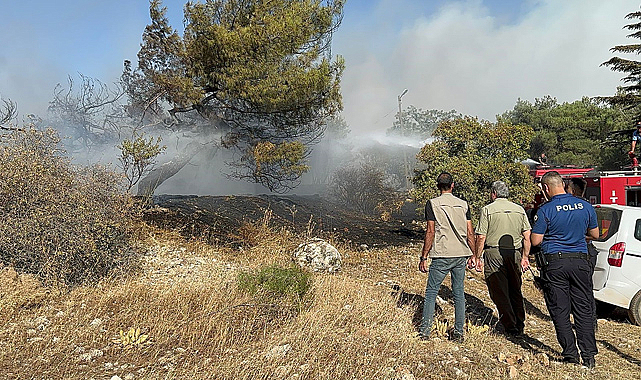 Gaziantep'te Dülükbaba Tepesi'nde yangın çıktı