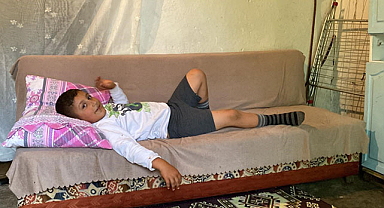 Gündemdeki başıboş köpekler Bingöl'de bir çocuğa saldırdı