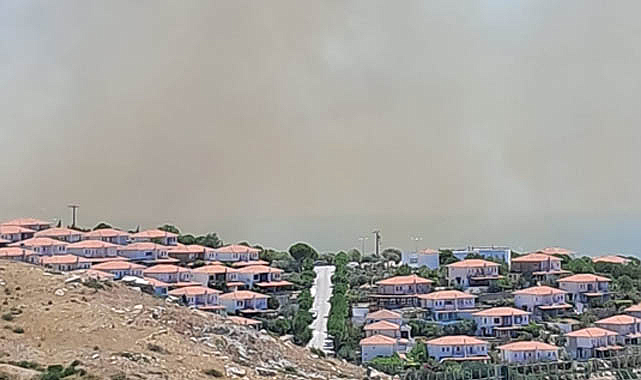 İzmir'de ormanlık alanda çıkan yangında 3 kişi öldü