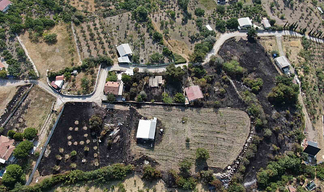 İzmir'deki orman yangının boyutu gün ağarınca ortaya çıktı