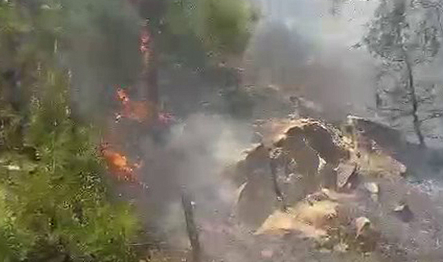 Kahramanmaraş’ın 12 Şubat ilçesinde çıkan orman yangını geniş bir alana yayıldı