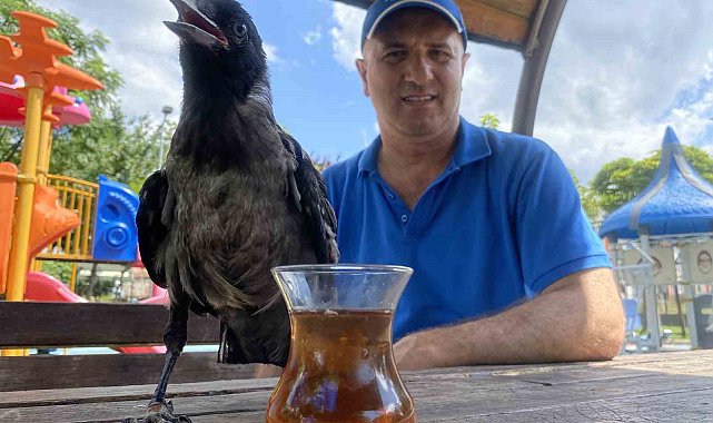 Karga, Rize çayı dışında bir şey içmiyor