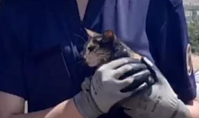 Kırıkkale'de su kuyusuna düşen yaramaz kediyi itfaiye kurtardı