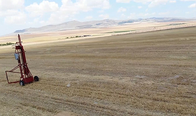 Kırşehir'de fare istilası çiftçileri canından bezdirdi