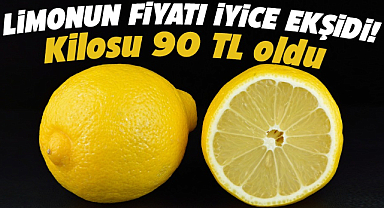 Limonun fiyatı iyice ekşidi! Kilosu 90 TL