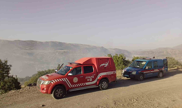 Malatya'da ormanlık alanda yangın