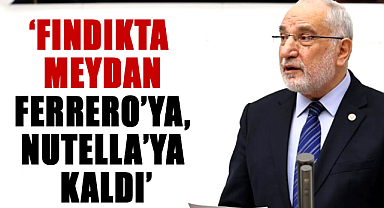 Mehmet Karaman: ‘Fındıkta meydan Ferrero’ya, Nutella’ya kaldı’