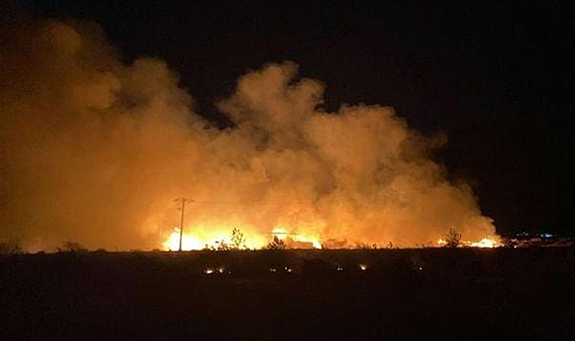 Muğla'nın Köyceğiz ilçesinde bal depolama ve paketleme tesisi alevlere teslim oldu