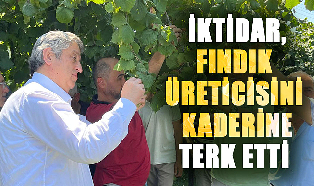 Murat Çan: İktidar, fındık üreticisini kaderine terk etti