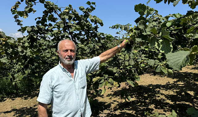 Örnek bahçelerde randıman artıyor