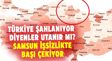 Orta Karadeniz'de işsizlik oranı en yüksek il Samsun