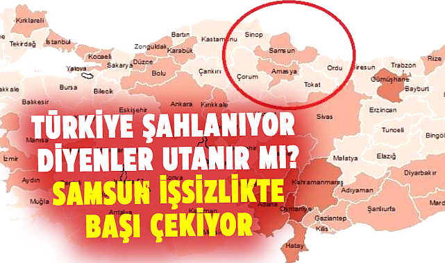 Orta Karadeniz'de işsizlik oranı en yüksek il Samsun