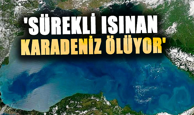 Osman Bektaş: 'Sürekli ısınan Karadeniz ölüyor'