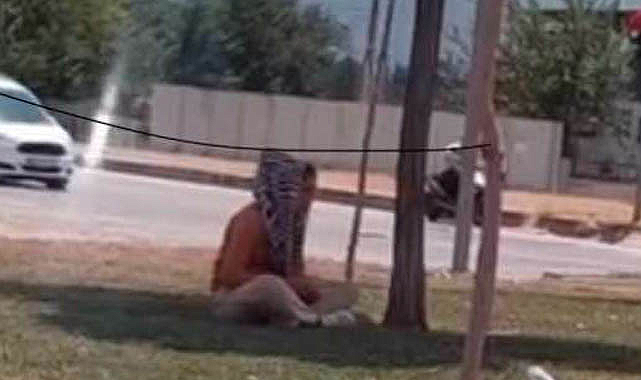 Osmaniye’de kadın dilenci topladığı paraları ağaç gölgesinde sayarken görüntülendi