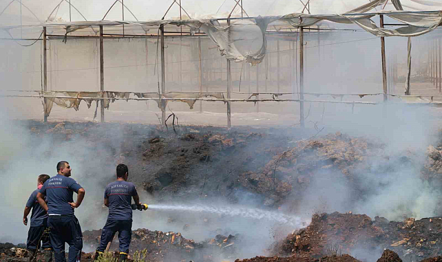 Otluk alanda başlayan yangın seralara sıçradı