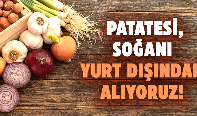 Patatesi, soğanı yurt dışından alıyoruz!
