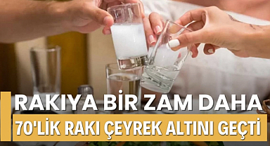 Rakının fiyatı çeyrek altını geçti Saki grubuna zam