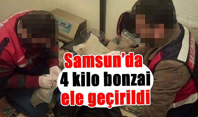 Samsun’da 4 kilo bonzai ele geçirildi