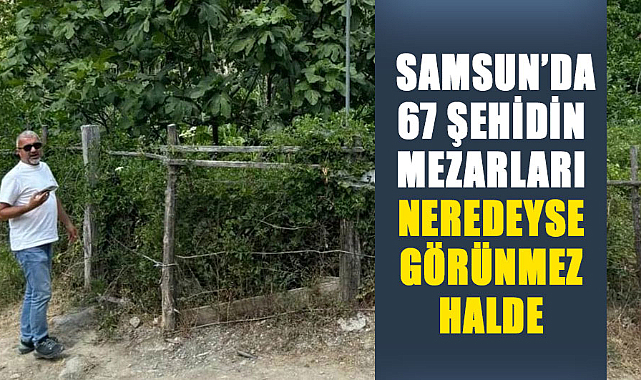 Samsun’da 67 şehidin mezarları neredeyse görünmez halde
