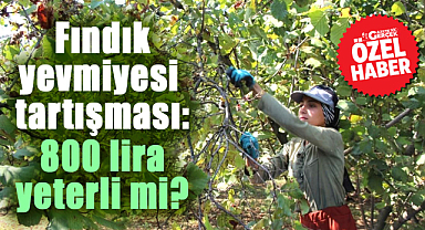 Samsun'da fındık yevmiyesi tartışması: 800 lira yeterli mi?