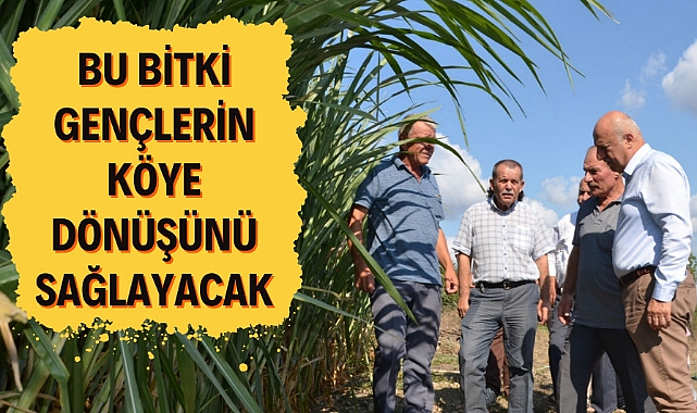 Samsun'da gençlerin köylere dönüşü için bulunmaz bir fırsat