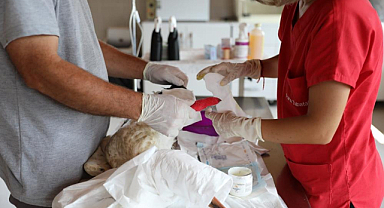 Samsun'da göçmen kuşlar tedavi edildi