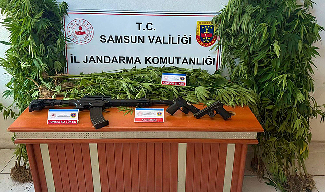 Samsun'da jandarma zehir tacirlerine göz açtırmıyor