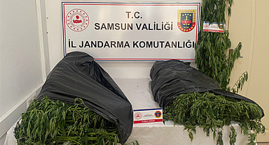 Samsun'da kilolarca esrar ele geçirildi