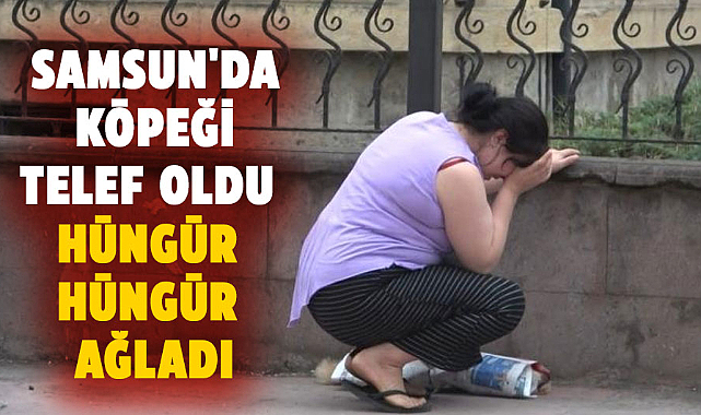 Samsun'da köpeği telef oldu, hüngür hüngür ağladı