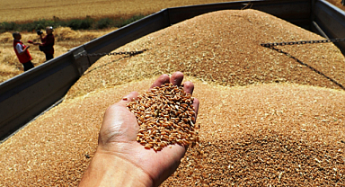 Samsun’da kuraklığa rağmen rekolte artışı