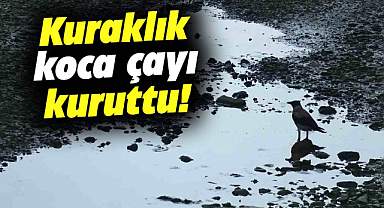 Samsun'da kuraklık ve yaz sıcağı Kürtün Çayını kuruttu!